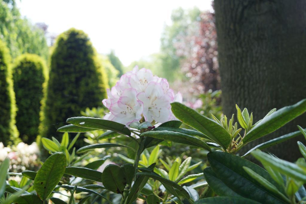 Bed & Breakfast Eersel's Eersel